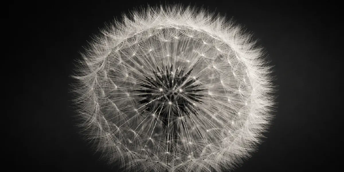 From intention to impact: a four-layer model for security governance documentation