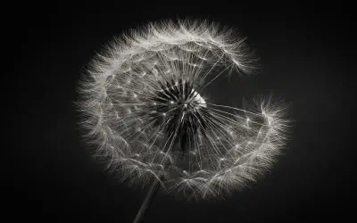 governance-documentation